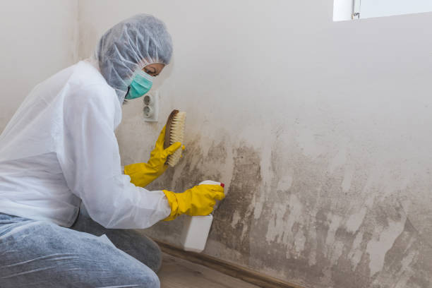 Crawl Space Mold Removal in Smithfield, NC