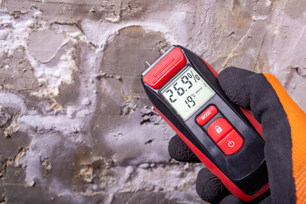 Home Mold Removal in Smithfield, NC